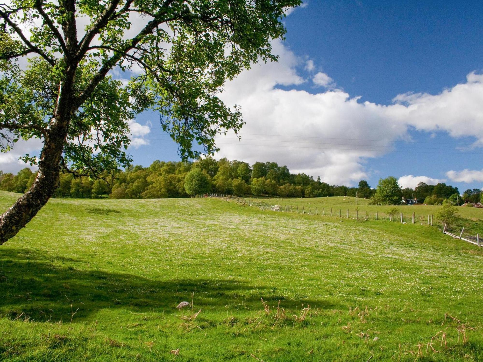 Treetops Newtonmore Zewnętrze zdjęcie